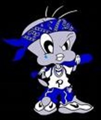 Crip'z Or Blood'z