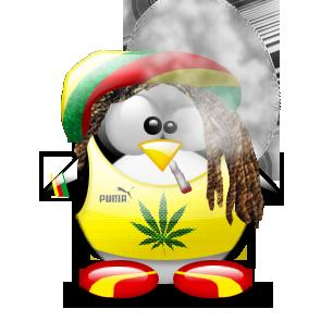 Koliko Si Cool