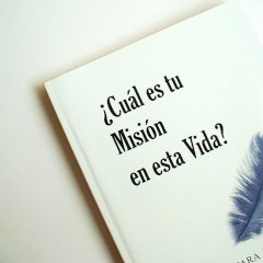 Tu Mision En Esta Vida