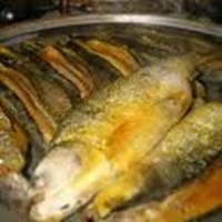 Apa Makanan Yang Cocok Untuk Kamu