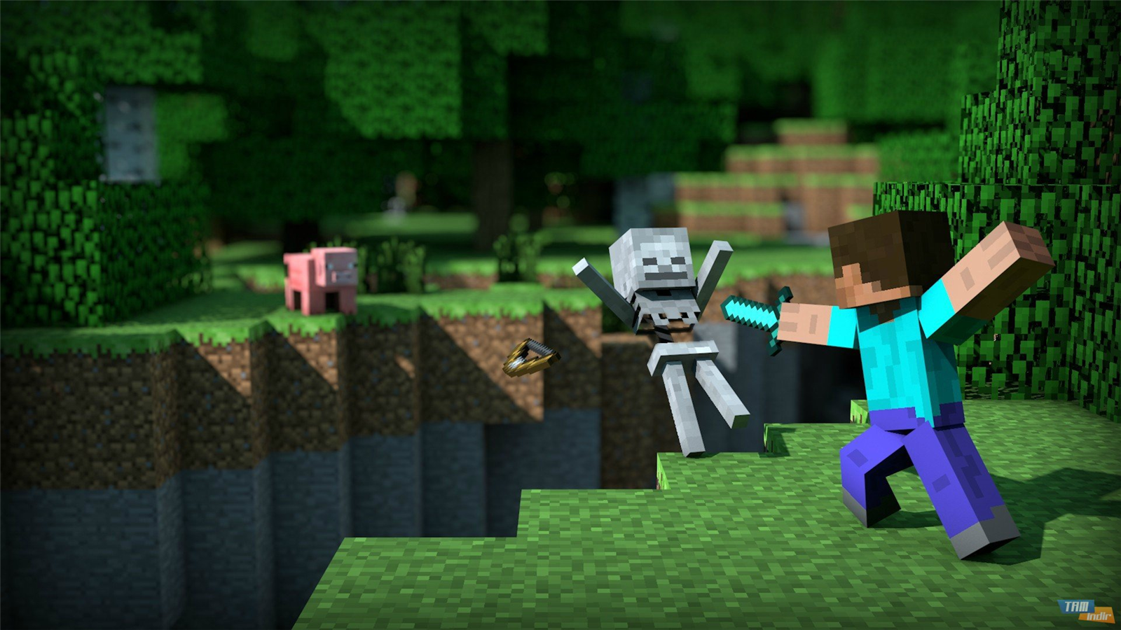 Hangi Minecraft Karakterisin?