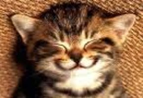 Ton Humeur Du Jour