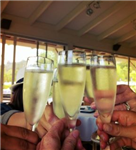 Birthday Cheers!