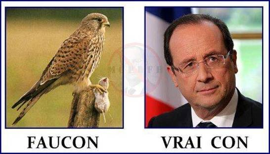 T'es Con Où Pas?