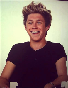 Niall'ı Ne Kadar Tanıyorsun?