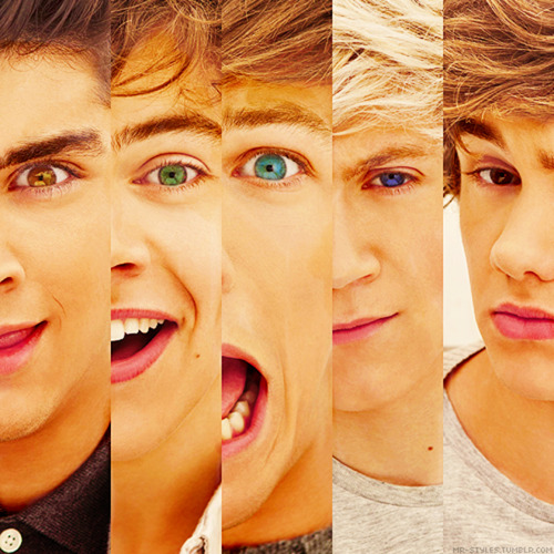 Directioner Test