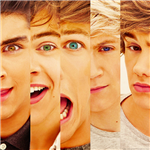 Directioner Test