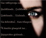 Şiir Dünyası