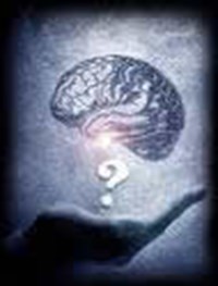 Are You Dumb Or Smart....?