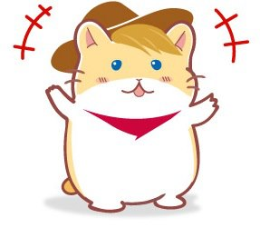 あなたにぴったりの留学先は？
