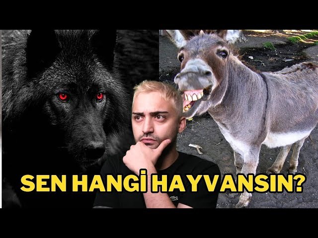 Hangi hayvansın