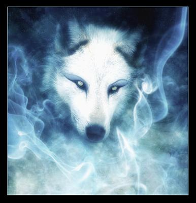 What Is Your Inner Animal