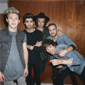 Gerçek Bir Directioner Misin ?