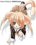 Are You A Neko?