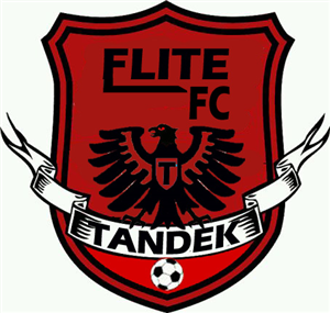 Siapakah Kamu Di Elite Fc ?