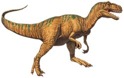 What Kind Of Dinosaur Are You