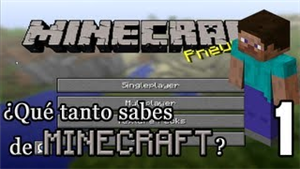 Que Tanto Sabes Sobre Minecratf