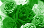 What Color Are You Today?