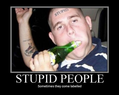 Are You Stupid?
