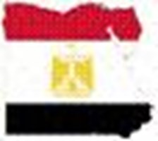 من افضل مرشح ان يكون قد المسؤليه (عمال) ؟؟؟؟؟