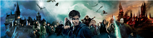 Hangi Harry Potter Karakterisin?