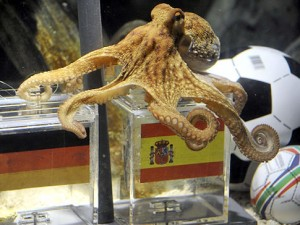 Paul Octopus Prediction