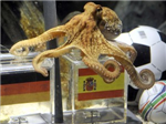 Paul Octopus Prediction