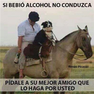 Que Buen Amig@ Eres?