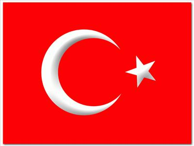 Sen Türk Müsün Deil Misin!