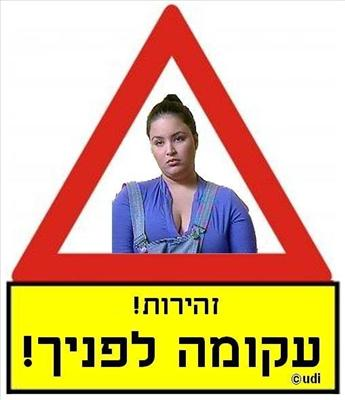 מי אתה משכבת ו' ביה"ס ממלכתי ב?