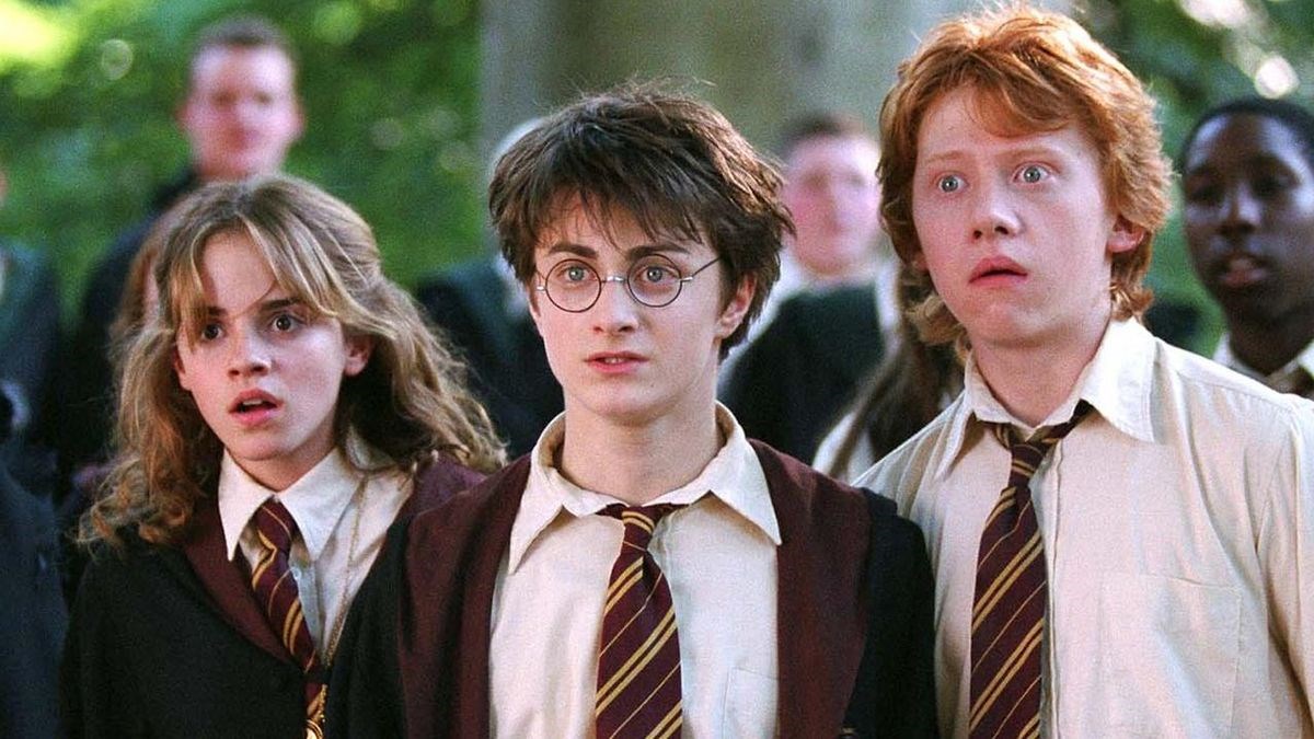 Which Harry Potter Charakter Is Your Roommate