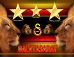 Hangi Takımı Tutuyorsun?