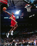 What Athlete Are You Most Like?
