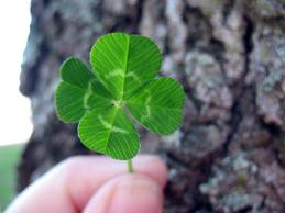 Are You Lucky Or Unlucky?