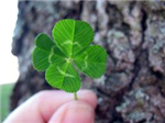 Are You Lucky Or Unlucky?
