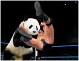 Hangi Wwe Raw Karakterisin