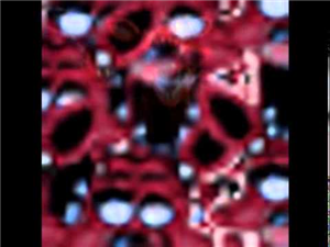 Queanimatronico Eres De Fnaf