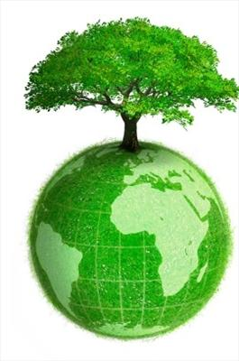 How Green You Are ?