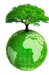 How Green You Are ?