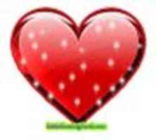 Love Or Not Love
