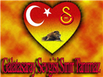 Şampiyon Kim Olur (Anket)