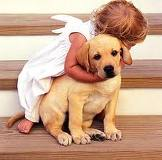 Do You Need A Hug Today?