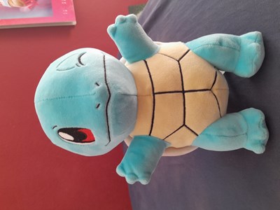 Welches Pokemon Bist Du?
