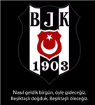 Anket