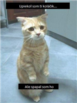 Ako Sa Dnes Budeš Mať ?