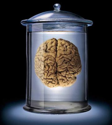 How Good Are You With Physiology?