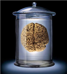 How Good Are You With Physiology?