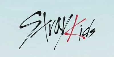 Stray Kidsi Ne Kadar Tanıyorsun?
