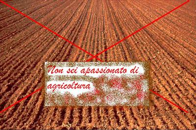 Agricoltura