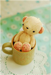 Teddy